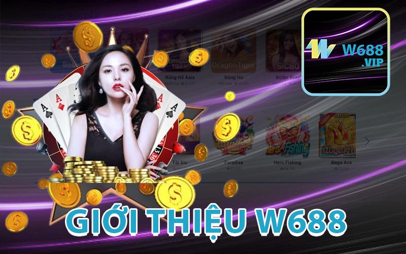 Giới Thiệu W688