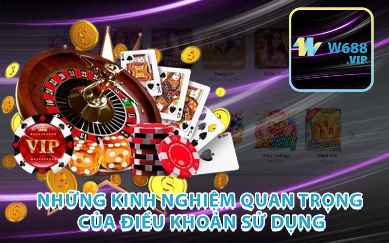 Những Kinh Nghiệm Quan Trọng Của Điều Khoản Sử Dụng